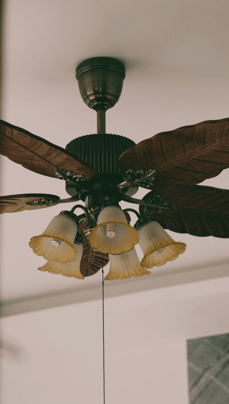Lighting & Fans electrical service